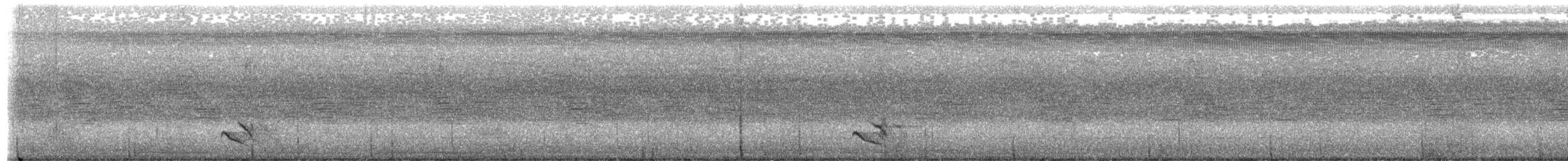 Long-billed Thrasher - ML644494839