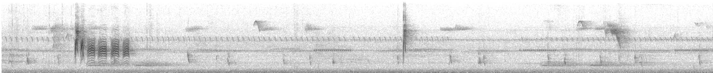 Amerika Baştankarası - ML644494952