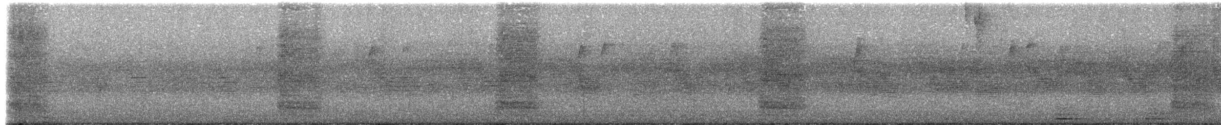 Long-billed Thrasher - ML644494998