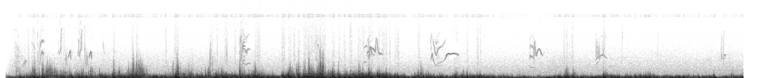 Thick-billed Siskin - ML644495022