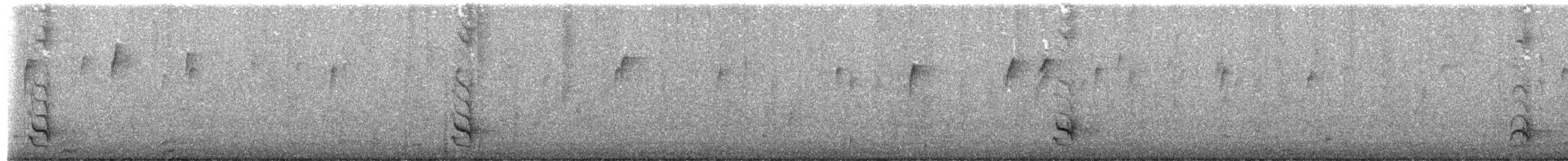 Long-billed Thrasher - ML644495087