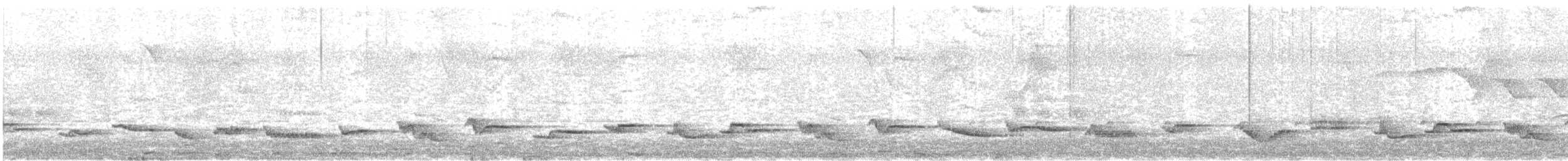 Rufous-bellied Thrush - ML644495400