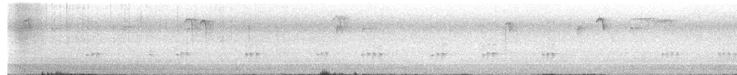 Carolina Wren - ML644495405