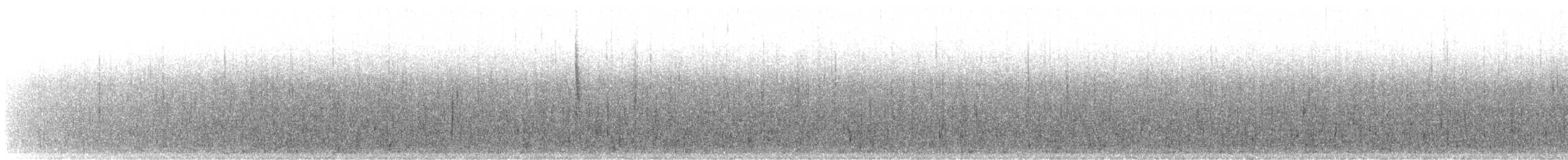 Pacific Wren - ML644495593