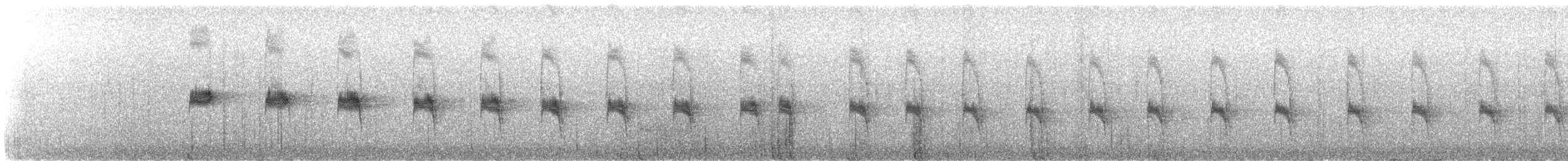 Canyon Wren - ML644495624