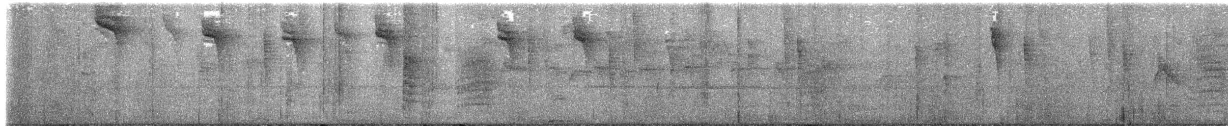 Lineated Foliage-gleaner - ML644495638