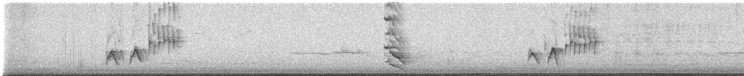 Spotted Towhee - ML644495666