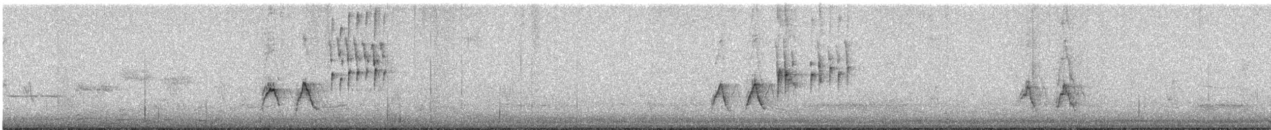 Spotted Towhee - ML644495775