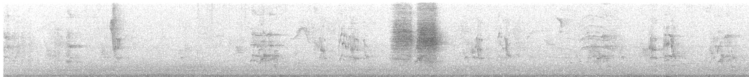 Southern House Wren - ML644496595