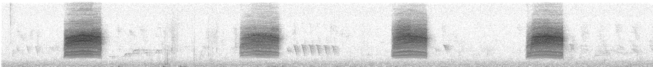 Bewick's Wren - ML644496730