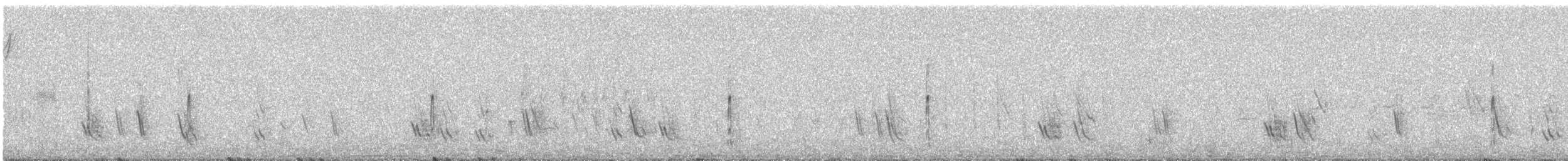 Red-necked Phalarope - ML644496896