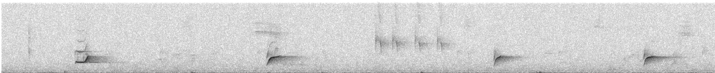 Swainson's Thrush - ML644496914