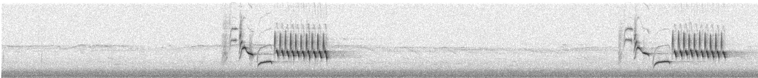 Bewick's Wren - ML644497186