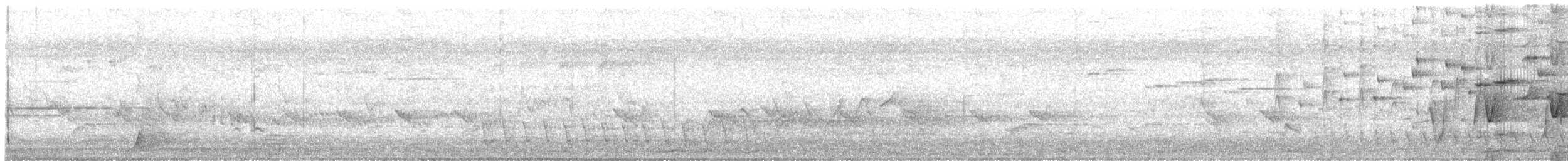 Rufous Whistler - ML644497236