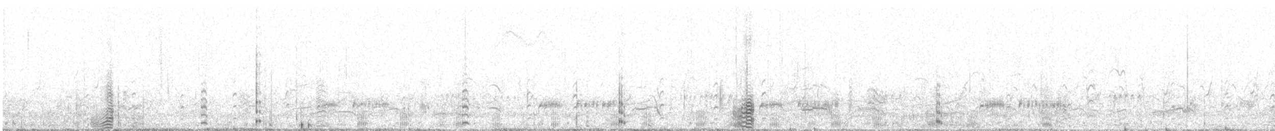 カオジロブロンズトキ - ML644497364