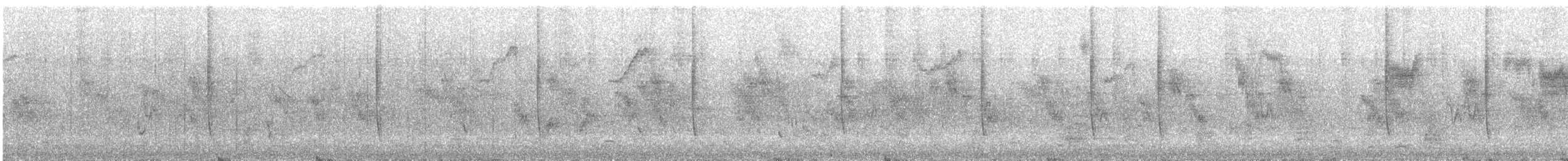 アカフトオハチドリ - ML644497591