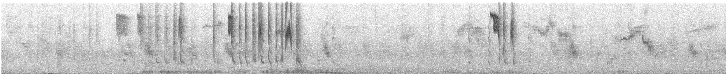 アカフトオハチドリ - ML644497592