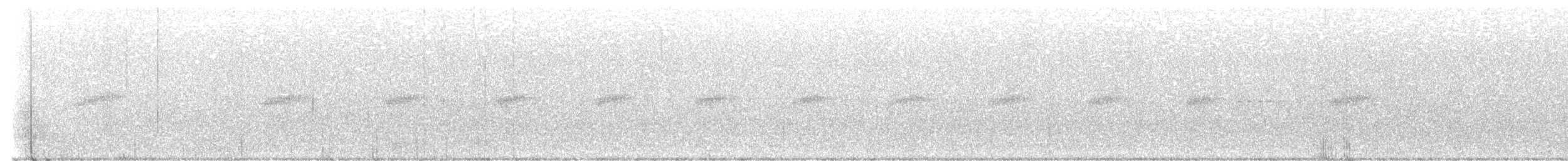 Mochuelo Peludo - ML644497603