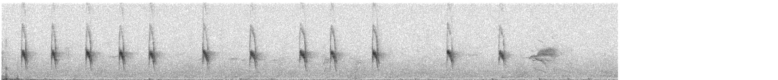 ムナジロミソサザイ - ML644497763