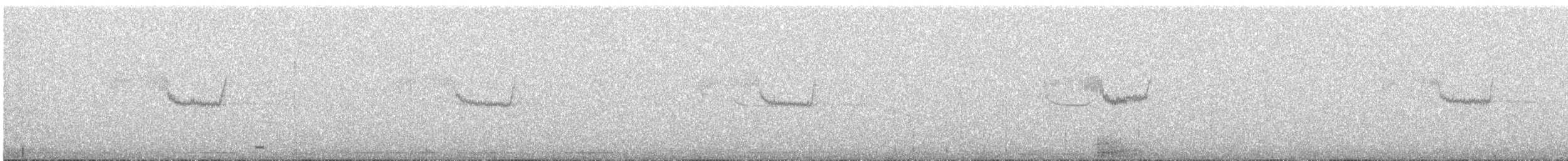 Chotacabras Ñañarca Grande - ML644497870