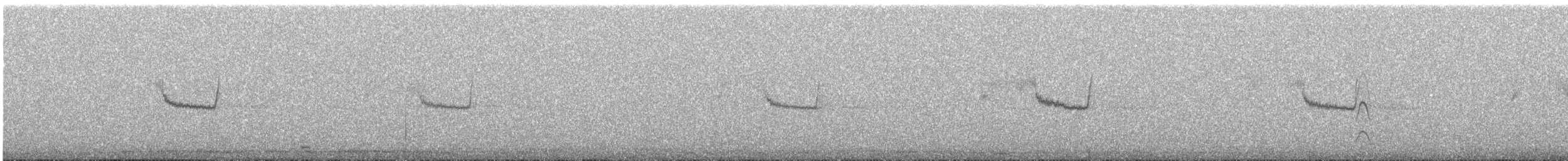 Chotacabras Ñañarca Grande - ML644497872