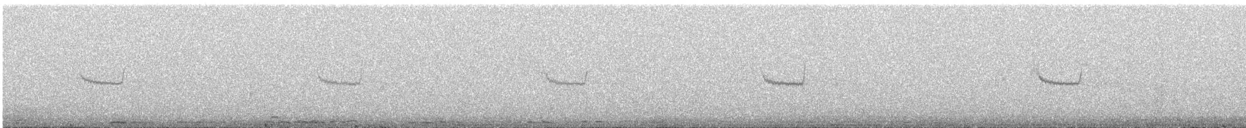 Chotacabras Ñañarca Grande - ML644497873