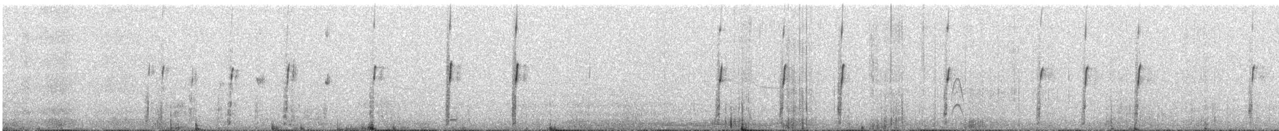 Chotacabras Ñañarca Grande - ML644497874