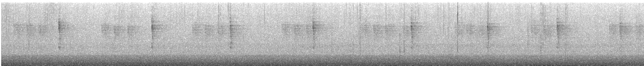 Pacific Wren - ML644497912