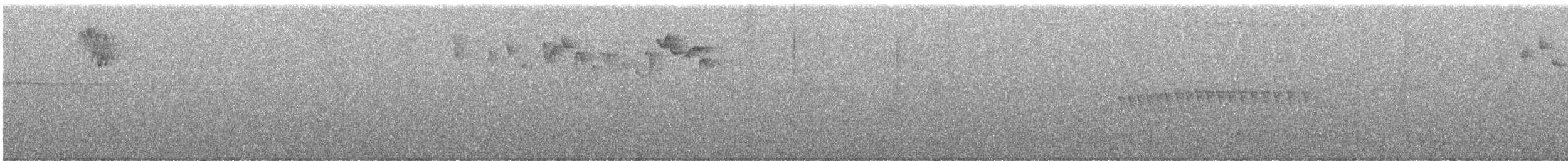 White-browed Spinetail - ML644497916