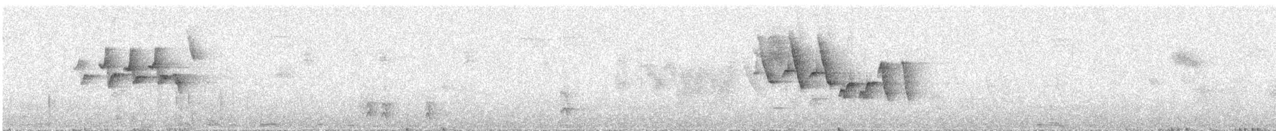 Northern Yellow Warbler - ML644498437