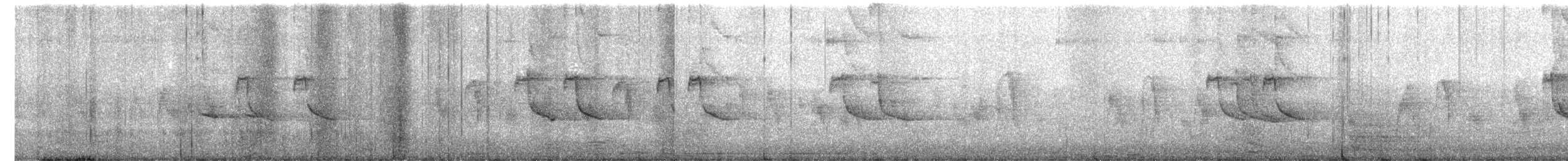 Malay Sığırcığı - ML644498521