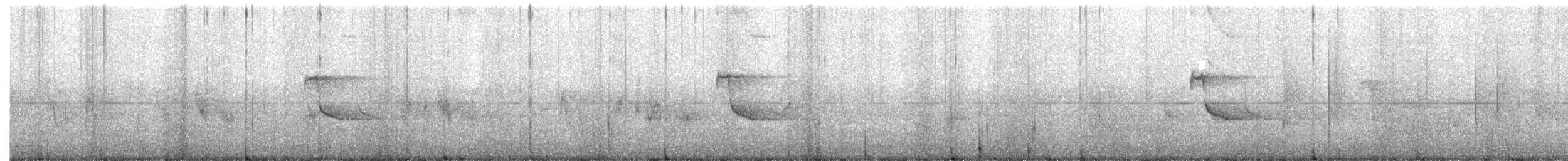 Malay Sığırcığı - ML644498574