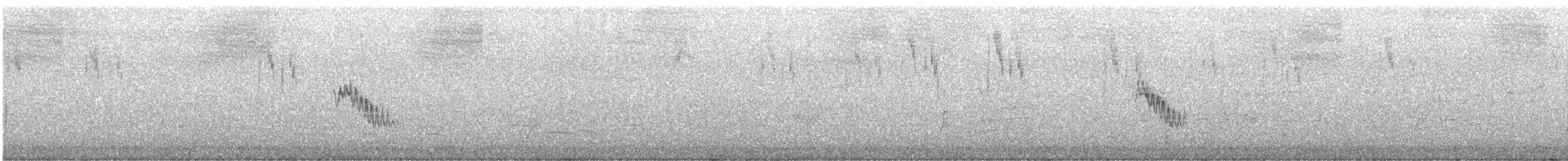 Australian Pipit - ML644498664