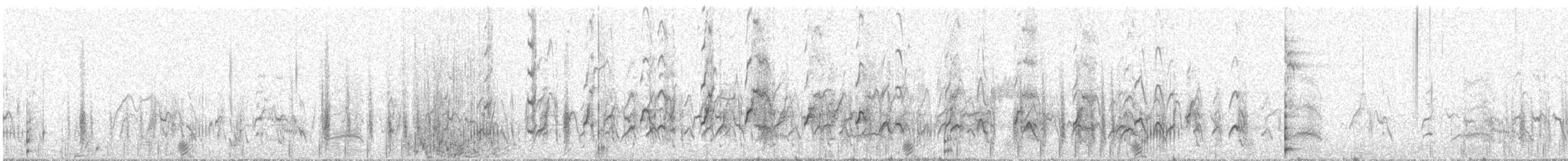 Gobbo della Giamaica - ML644498723