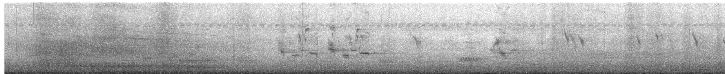 Malay Sığırcığı - ML644498875