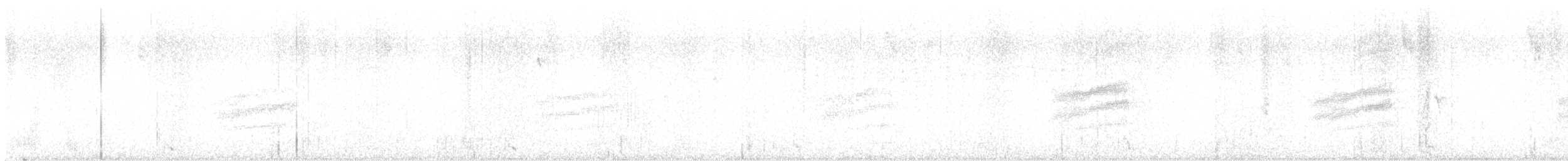 Spotted Towhee - ML644499058