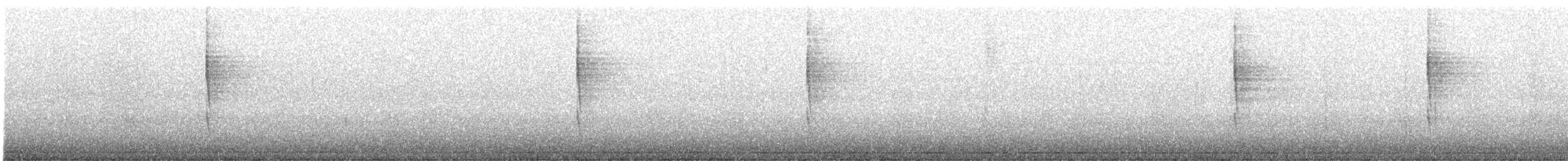 Pacific Wren - ML644499616