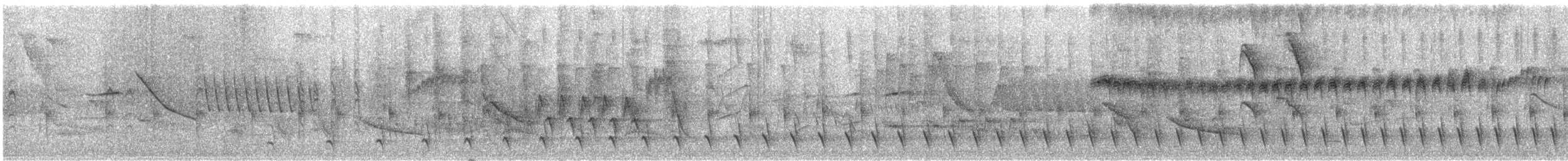 Great Antshrike - ML644499859