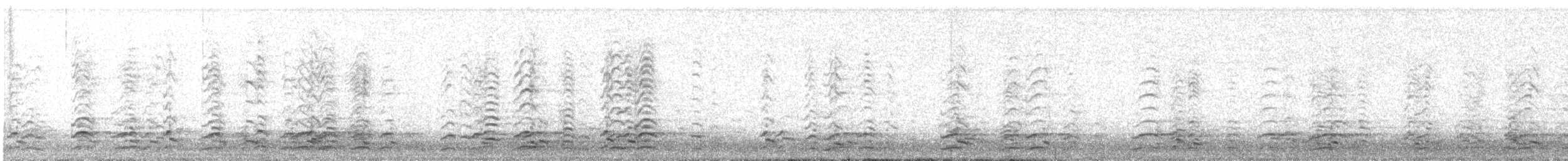 小加拿大雁 - ML644500008