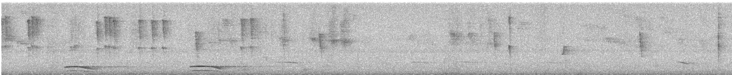 Collared Forest-Falcon - ML644500046