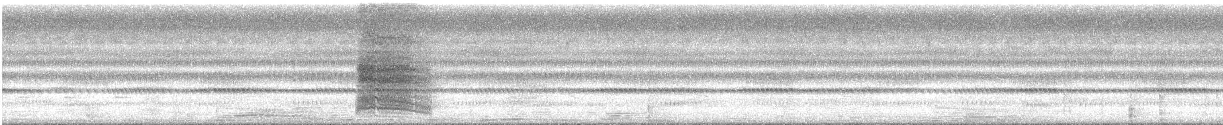 コウライウグイス（diffusus） - ML644500075