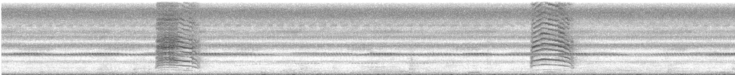 コウライウグイス（diffusus） - ML644500673