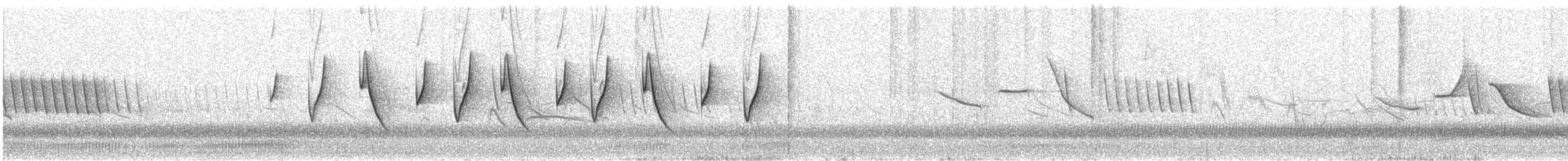 Black-and-rufous Warbling Finch - ML644500888