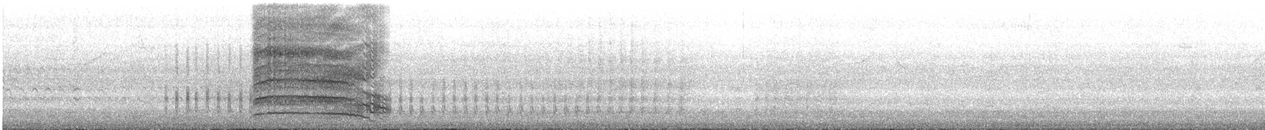 Siyah Karakara - ML644501051