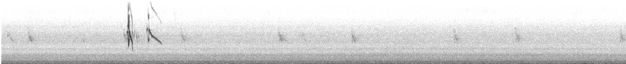 Sosyal Tiran - ML644501312