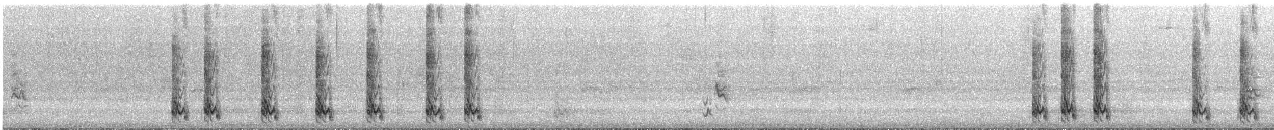 セアカオオツリスドリ - ML644501328