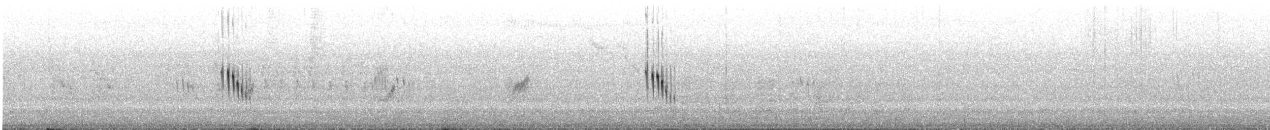 Белопоясковая ласточка - ML644501494