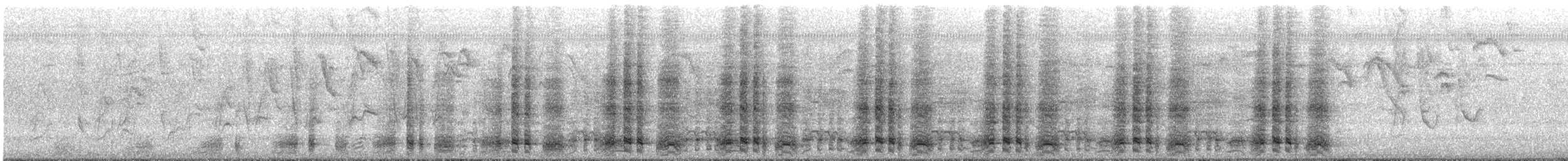 Speckled Chachalaca - ML644501698