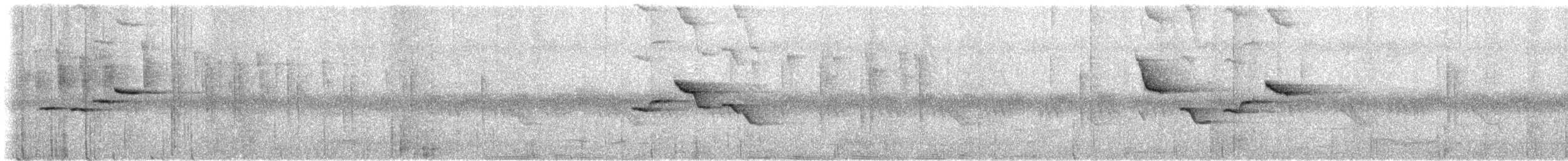 Yellow-bellied Warbler - ML644501708