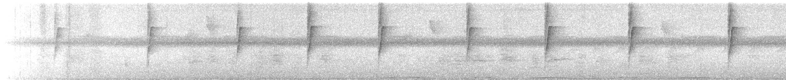 Weißbart-Schattenkolibri - ML644502960